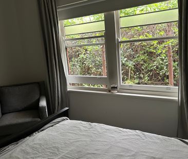 Clarence Gardens - Photo 4