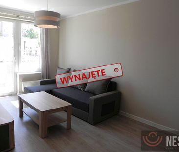 Do wynajęcia dwupokojowy apartament ul. Potulicka 43m2 - Photo 1