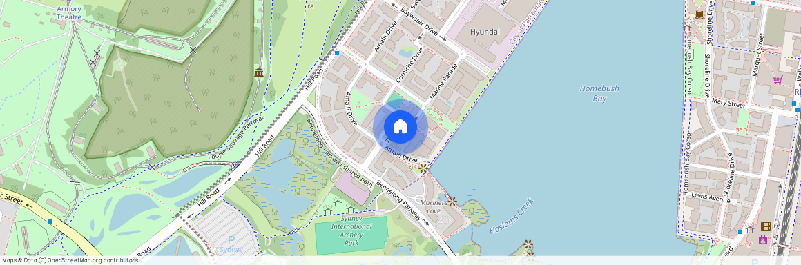 305/4 The Piazza, 2127, Wentworth Point Nsw
