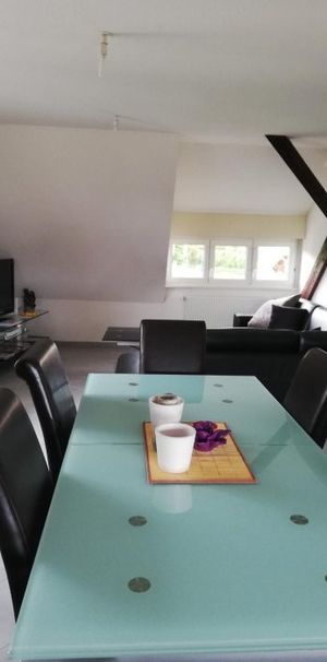 Appartement Molsheim 2 pièces 56 m2 entièrement meublé et équipé! - Photo 1