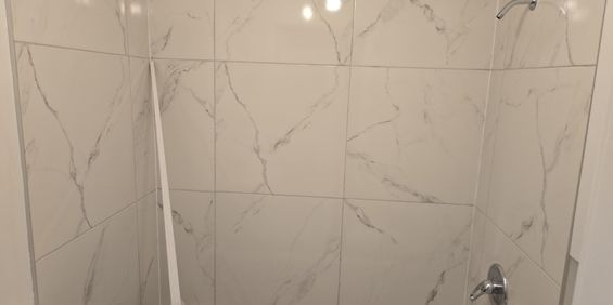 Grand Condo 4 1/2 Plateau Mont-Royal - Photo 3