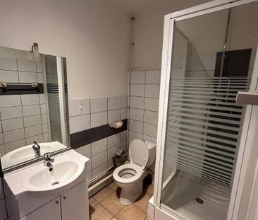 Location appartement 1 pièce 30.6 m² à Vienne (38200) 4 - Photo 6