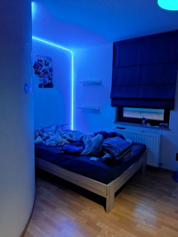 Spaans landhuis te Zonhoven met voldoende groen - Photo 5