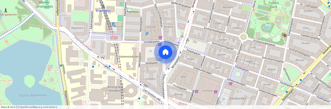 Malmö, Södra Förstadsgatan, 94, 21420