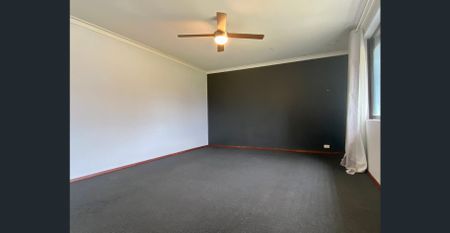 Charming and Charismatic! - Photo 3