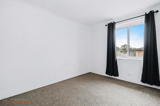 36/3 Waddell Place, Curtin ACT 2605 - Apartment For Rent | Domain - Photo 1