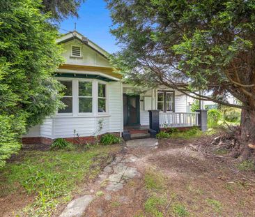 Spacious, Freshly Painted, Shopping Nearby! - Photo 4