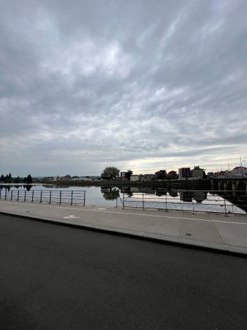 Location Appartement 1 pièce 44m² - Photo 3