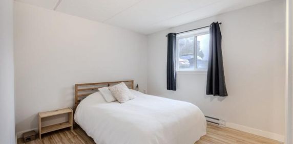 Appartement 3 ½ à louer Limoilou octobre 2025 - Photo 2