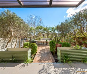 2/139 Blamey Crescent, Campbell ACT 2612 - Townhouse For Rent | Domain - Photo 5