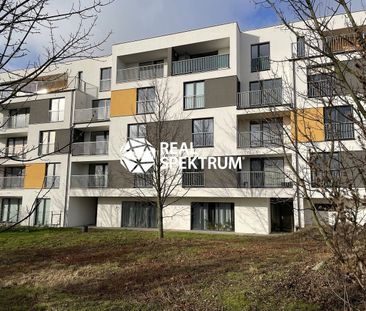 Pronájem bytu 1+kk 36 m² - Photo 6