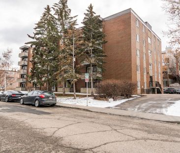 205-903 19 Ave Sw - Photo 4