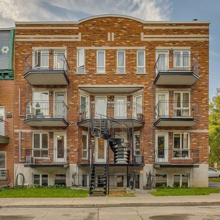 4 ½ à louer dans Hochelaga – Terrasse, stationnement & parc arrière - Photo 3