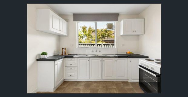 Spacious, Light Filled & Perfectly Positioned - Photo 1