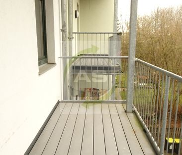 Ab ins neue Zuhause - Foto 1