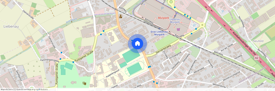 Liebenauer Hauptstraße, 8041 Graz, 07.Bez.:Liebenau, Graz,07.Bez.:Liebenau