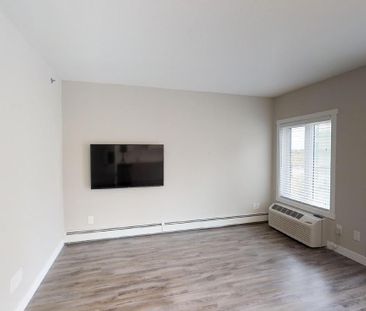 1 Bed & 1 Bath Apartment Style Property In Downtown Area - Photo 4