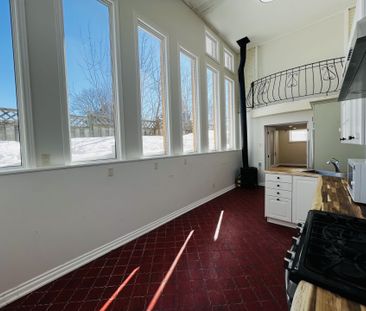 For Lease - 48 Steel Street Unit# LOWER, Barrie, Ontario - Photo 4