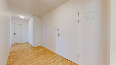 Apartment - Photo 5