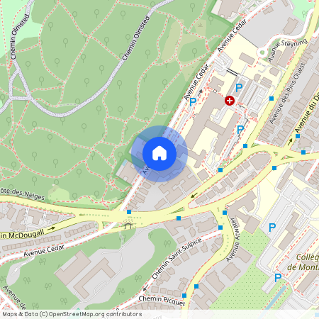 1724 Av. Cedar, app.121, H3G 1A6, Gatineau