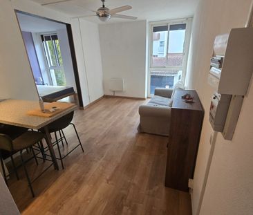 Appartement T2 meublé en location à Toulouse - Photo 1