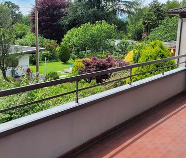 Via San Gottardo 53, 6877, Coldrerio - Photo 1