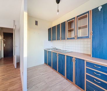 Appartement à louer, 1 pièce - Strasbourg 67100 - Photo 1