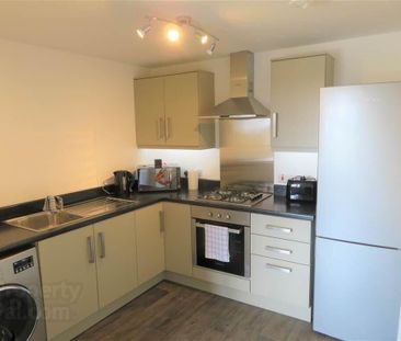 Apt 6, 161 Glen Road, Belfast, BT11 8SB - Photo 3