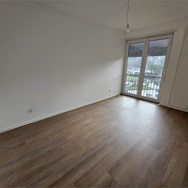 Chiasso, affitto 3.5 locali ristrutturato - Foto 1