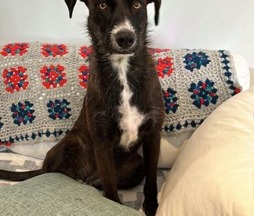 Paddington - Photo 3