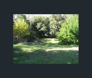 Light-Filled Family Home in Quiet, Tree-Lined Street - Photo 5