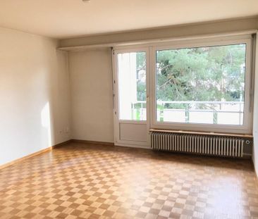 Charmante Wohnung an der Limmat zu vermieten! - Foto 1