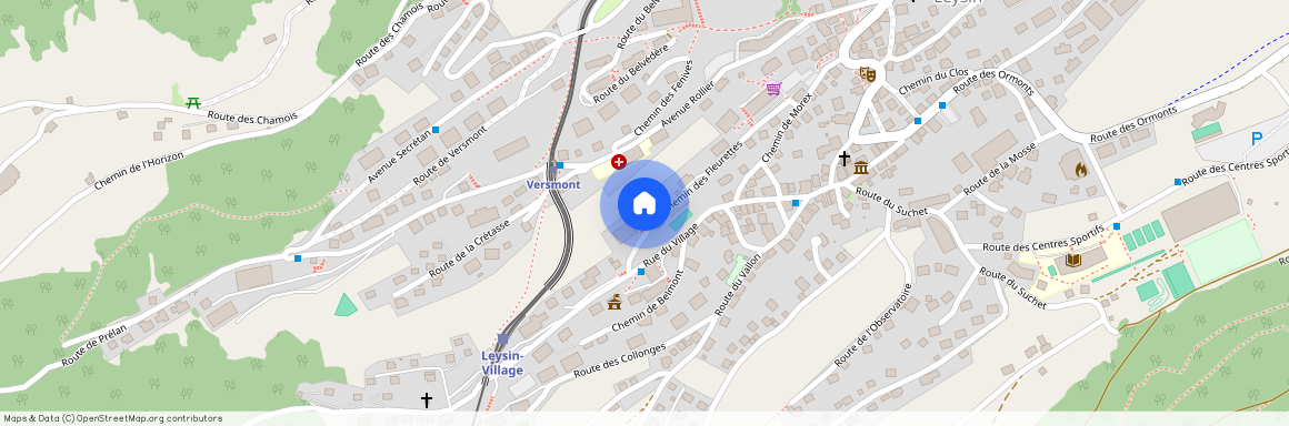 Chemin Des Fleurettes 18, 1854 Leysin