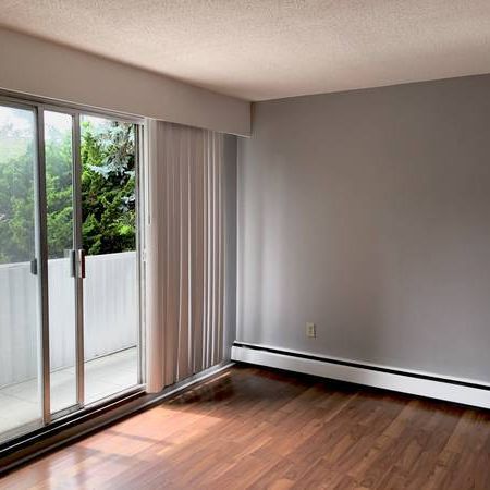 Kitsilano close to beach one bed room with balcony - Photo 1