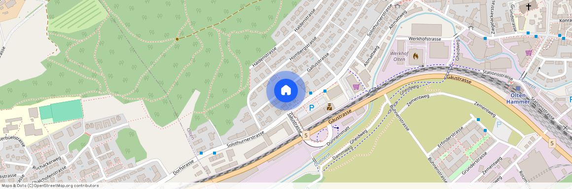 4600, Olten, Gallusstrasse, 81