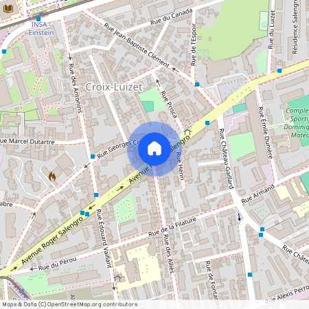 139 Avenue Roger Salengro 69100 Villeurbanne
