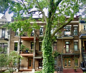3982 av. Du Parc Lafontaine, #1 - Photo 2