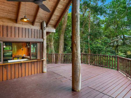 LIVE IN THE RAINFOREST!!!! - Photo 2