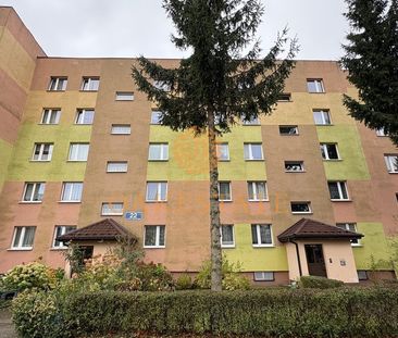 os. Świętokrzyskie, ul. Biskupa Mieczysława Jaworskiego - Zdjęcie 3