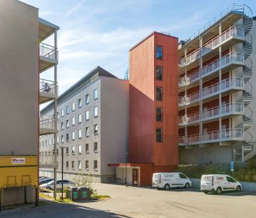 Småbrukets backe 60 - Photo 5