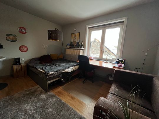 Kamer 4 - Zwijnaardsesteenweg 15 - Foto 1