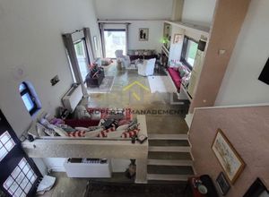 Μονοκατοικία για ενοικίαση - Δροσιά, - Photo 3