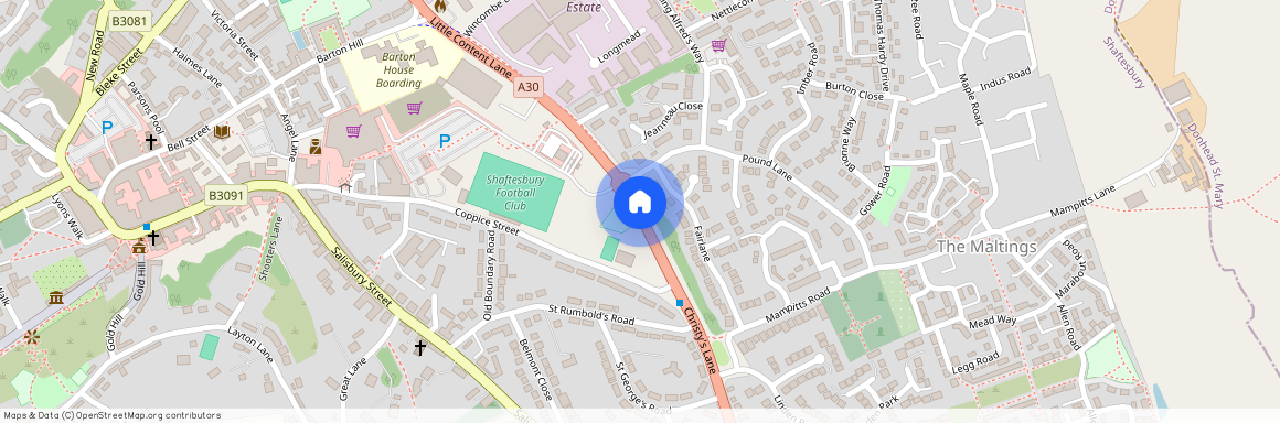 Wild Flower - Shaftesbury