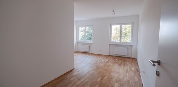 Raumwunder - Wg Willkommen! 16054F - Photo 2