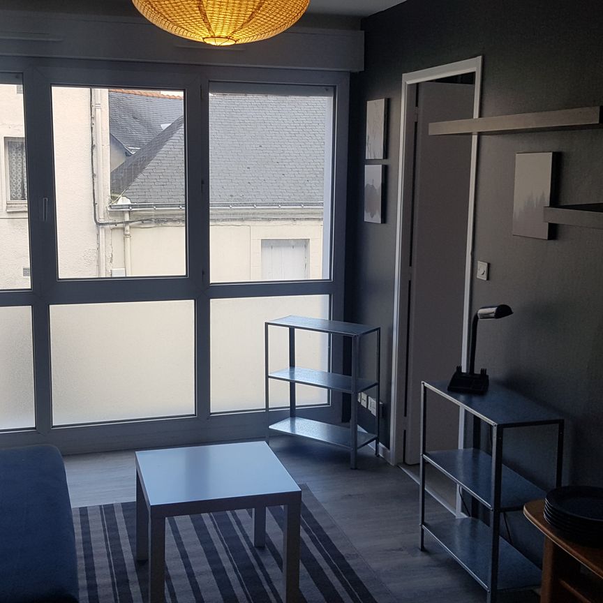 Location Appartement 2 pièces 29m² NANTES 44000 - Photo 1