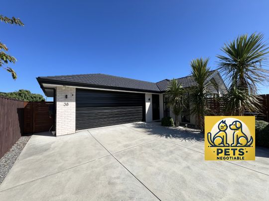 38 Billy T Lane, Rolleston - Photo 1