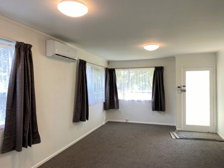 1/27 Mataroa Road - Photo 3