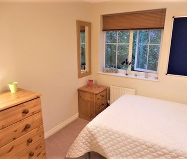 Double Room in House Share to Let Norwich NR3 - Photo 1