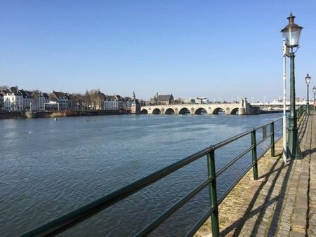 Te huur: Kamer Sint Maartenslaan in Maastricht - Foto 2