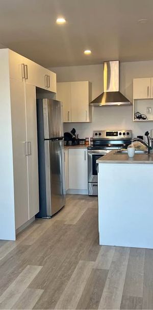 Rosemont - Superbe Condo 4 1/2 - July 1 - Photo 1